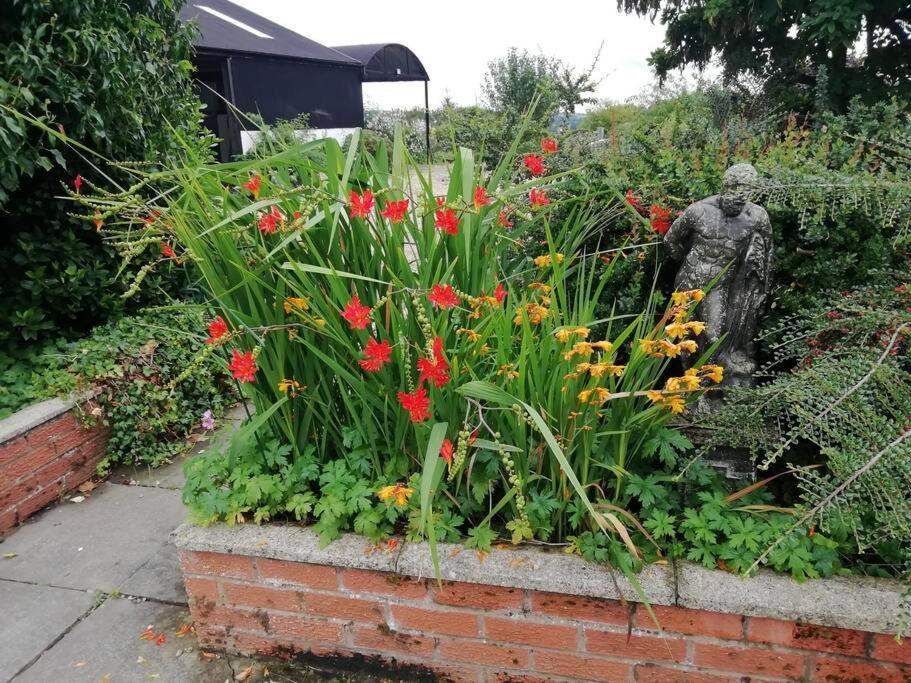 Country Home With Gardens Newtown  Buitenkant foto