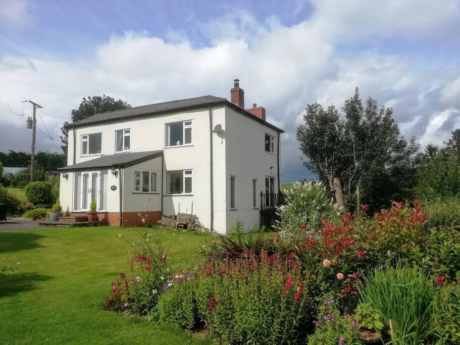 Country Home With Gardens Newtown  Buitenkant foto