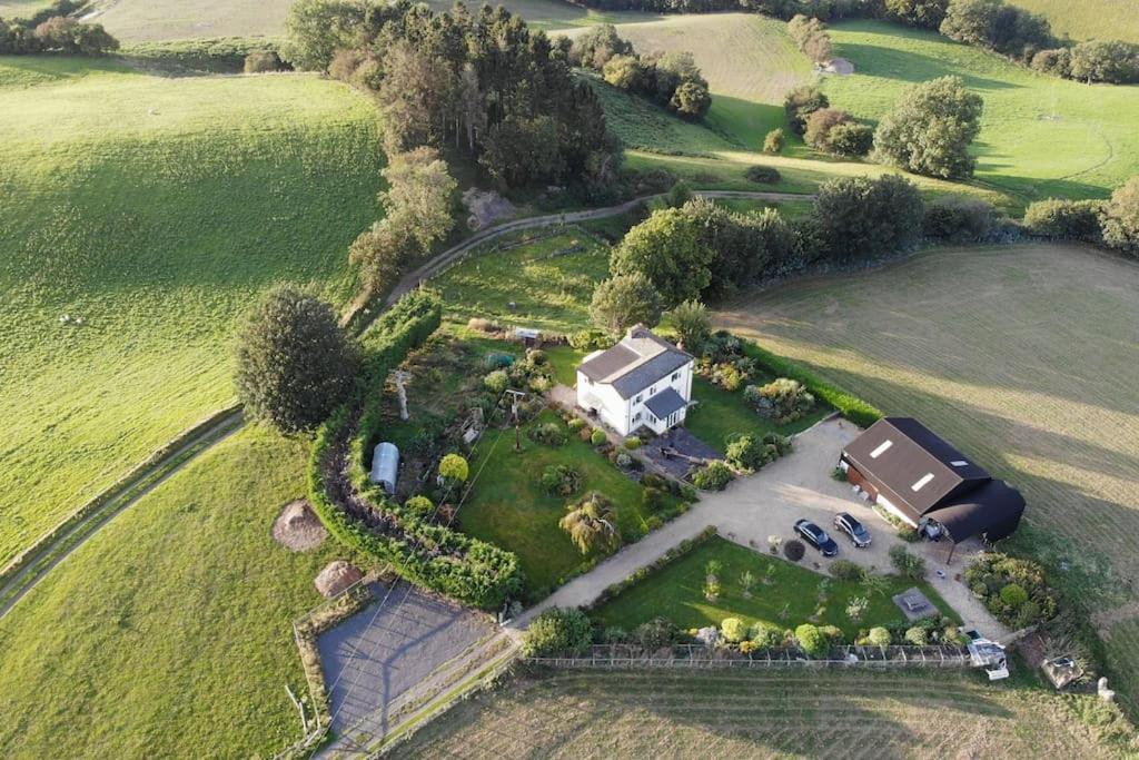 Country Home With Gardens Newtown  Buitenkant foto