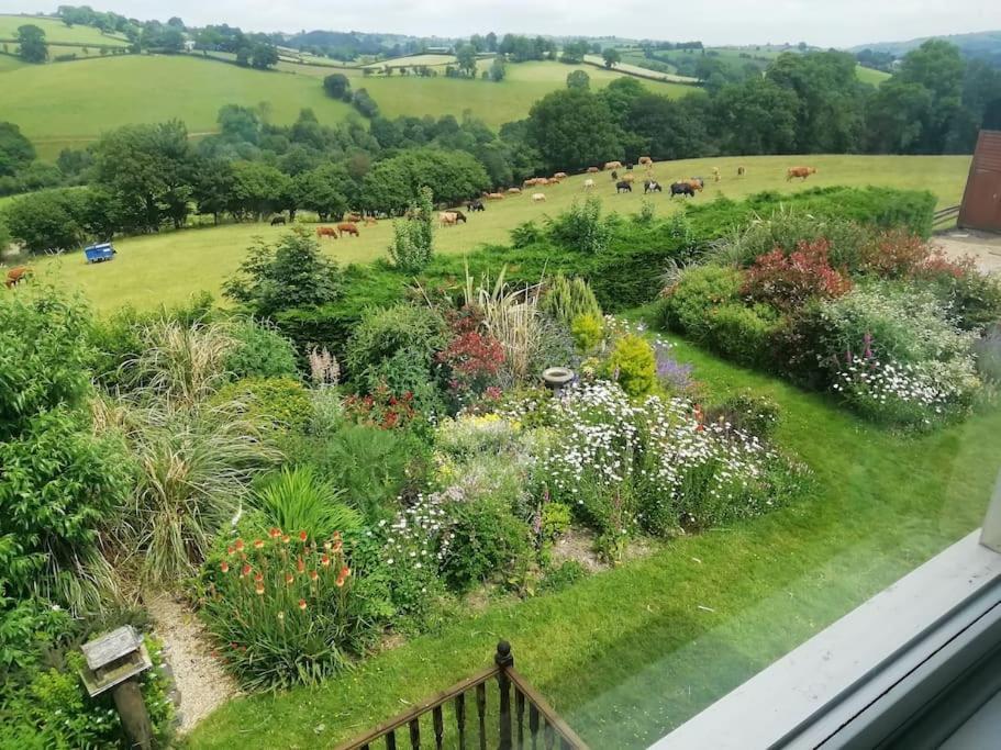 Country Home With Gardens Newtown  Buitenkant foto