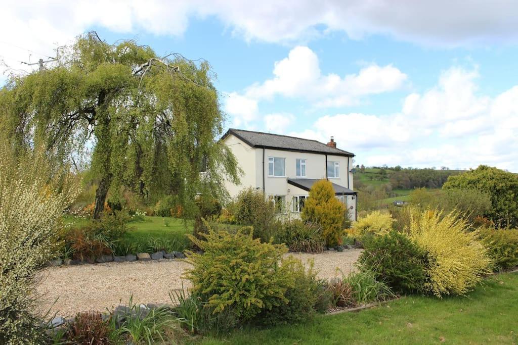 Country Home With Gardens Newtown  Buitenkant foto